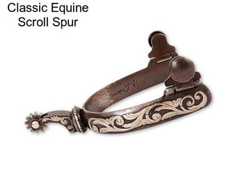 Classic Equine Scroll Spur