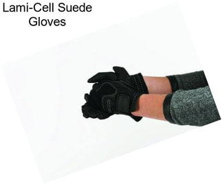 Lami-Cell Suede Gloves