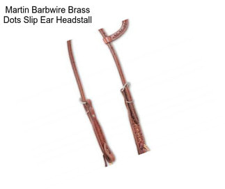 Martin Barbwire Brass Dots Slip Ear Headstall