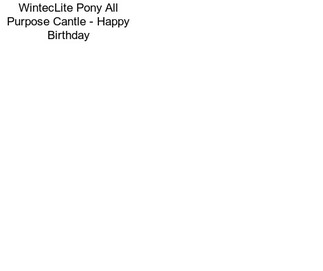 WintecLite Pony All Purpose Cantle - Happy Birthday