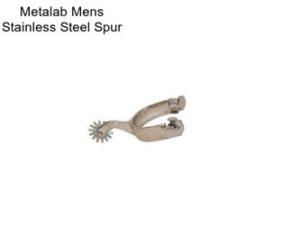 Metalab Mens Stainless Steel Spur