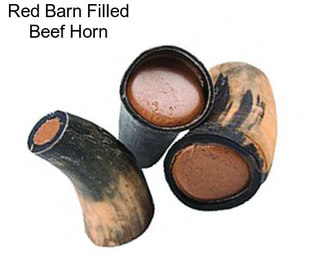 Red Barn Filled Beef Horn