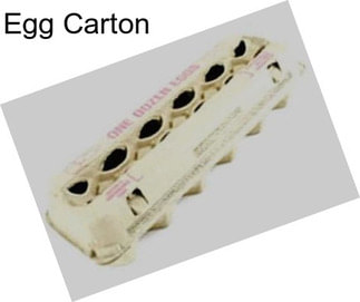 Egg Carton