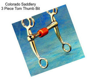 Colorado Saddlery 3 Piece Tom Thumb Bit