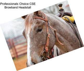 Professionals Choice CSE Browband Headstall