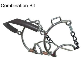 Combination Bit