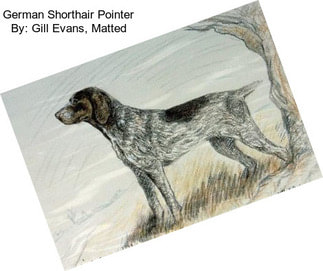 German Shorthair Pointer By: Gill Evans, Matted