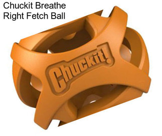 Chuckit Breathe Right Fetch Ball