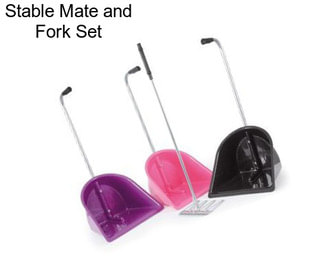 Stable Mate and Fork Set