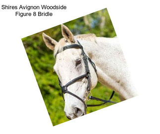 Shires Avignon Woodside Figure 8 Bridle