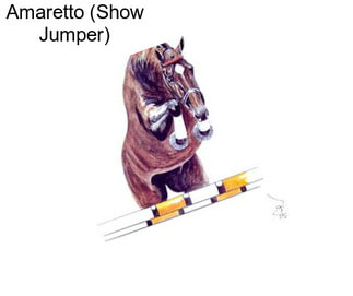 Amaretto (Show Jumper)