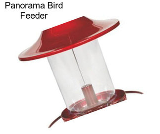 Panorama Bird Feeder