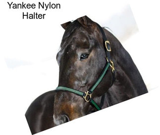 Yankee Nylon Halter