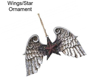 Wings/Star Ornament