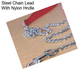 Steel Chain Lead With Nylon Hndle