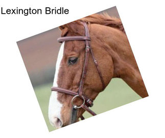 Lexington Bridle