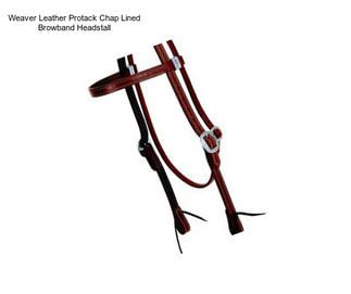 Weaver Leather Protack Chap Lined Browband Headstall