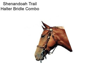 Shenandoah Trail Halter Bridle Combo