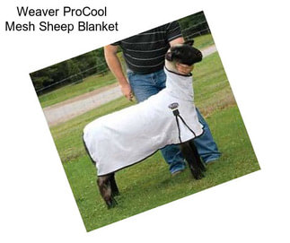 Weaver ProCool Mesh Sheep Blanket