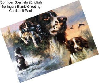 Springer Spaniels (English Springer) Blank Greeting Cards - 6 Pack