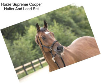 Horze Supreme Cooper Halter And Lead Set