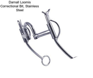 Darnall Loomis Correctional Bit, Stainless Steel