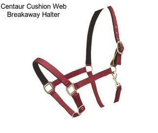 Centaur Cushion Web Breakaway Halter