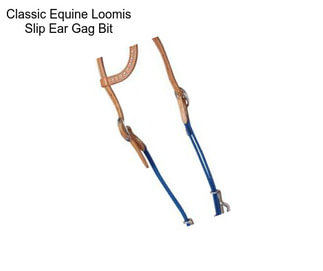 Classic Equine Loomis Slip Ear Gag Bit