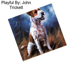 Playful By: John Trickett