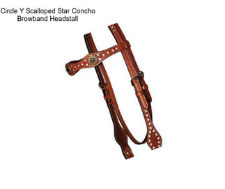 Circle Y Scalloped Star Concho Browband Headstall