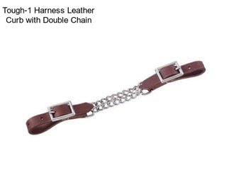 Tough-1 Harness Leather Curb with Double Chain