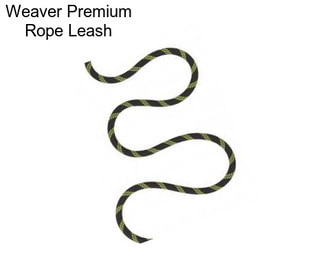 Weaver Premium Rope Leash