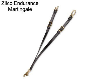 Zilco Endurance Martingale