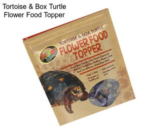 Tortoise & Box Turtle Flower Food Topper