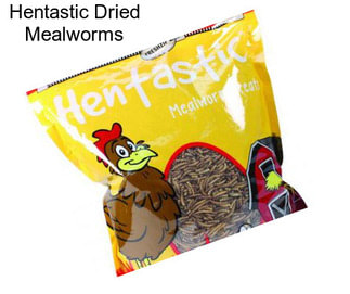 Hentastic Dried Mealworms