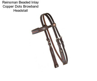 Reinsman Beaded Inlay Copper Dots Browband Headstall