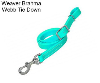 Weaver Brahma Webb Tie Down