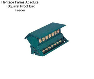 Heritage Farms Absolute II Squirrel Proof Bird Feeder