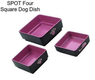 SPOT Four Square Dog Dish