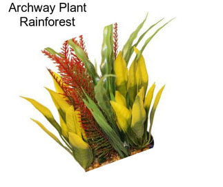 Archway Plant Rainforest