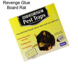 Revenge Glue Board Rat
