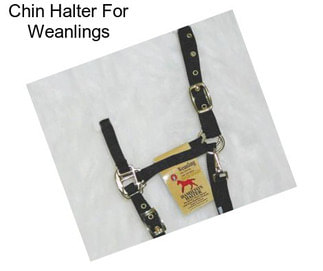 Chin Halter For Weanlings