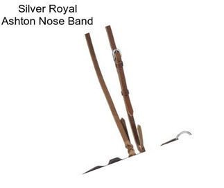 Silver Royal Ashton Nose Band