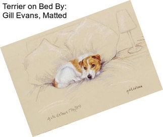 Terrier on Bed By: Gill Evans, Matted