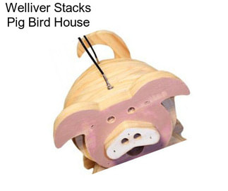 Welliver Stacks Pig Bird House