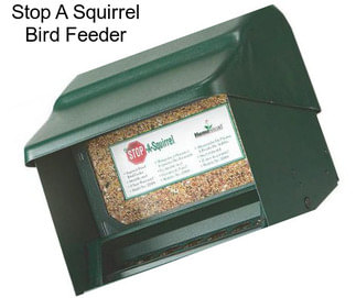 Stop A Squirrel Bird Feeder