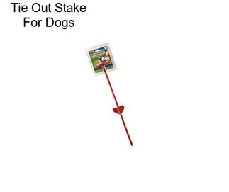 Tie Out Stake For Dogs