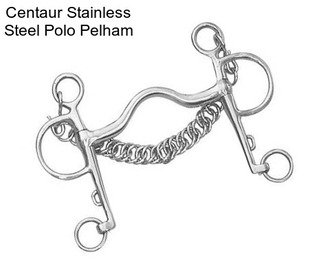 Centaur Stainless Steel Polo Pelham