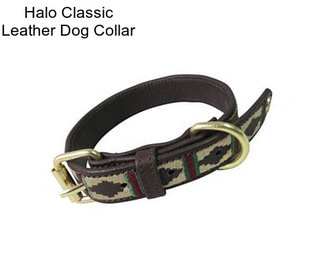 Halo Classic Leather Dog Collar