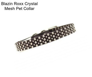 Blazin Roxx Crystal Mesh Pet Collar